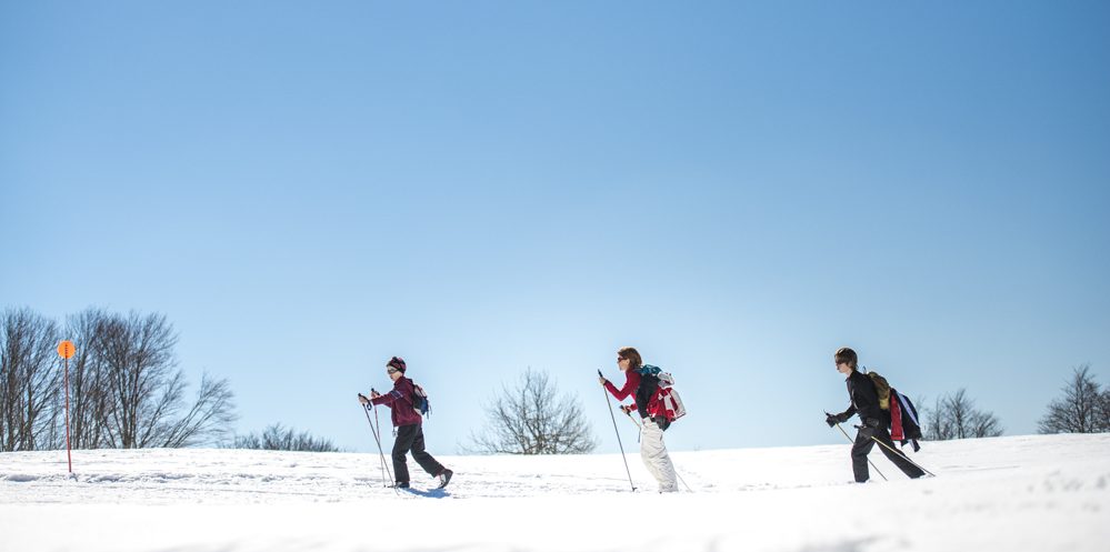 Assurance Nordic 6 jours